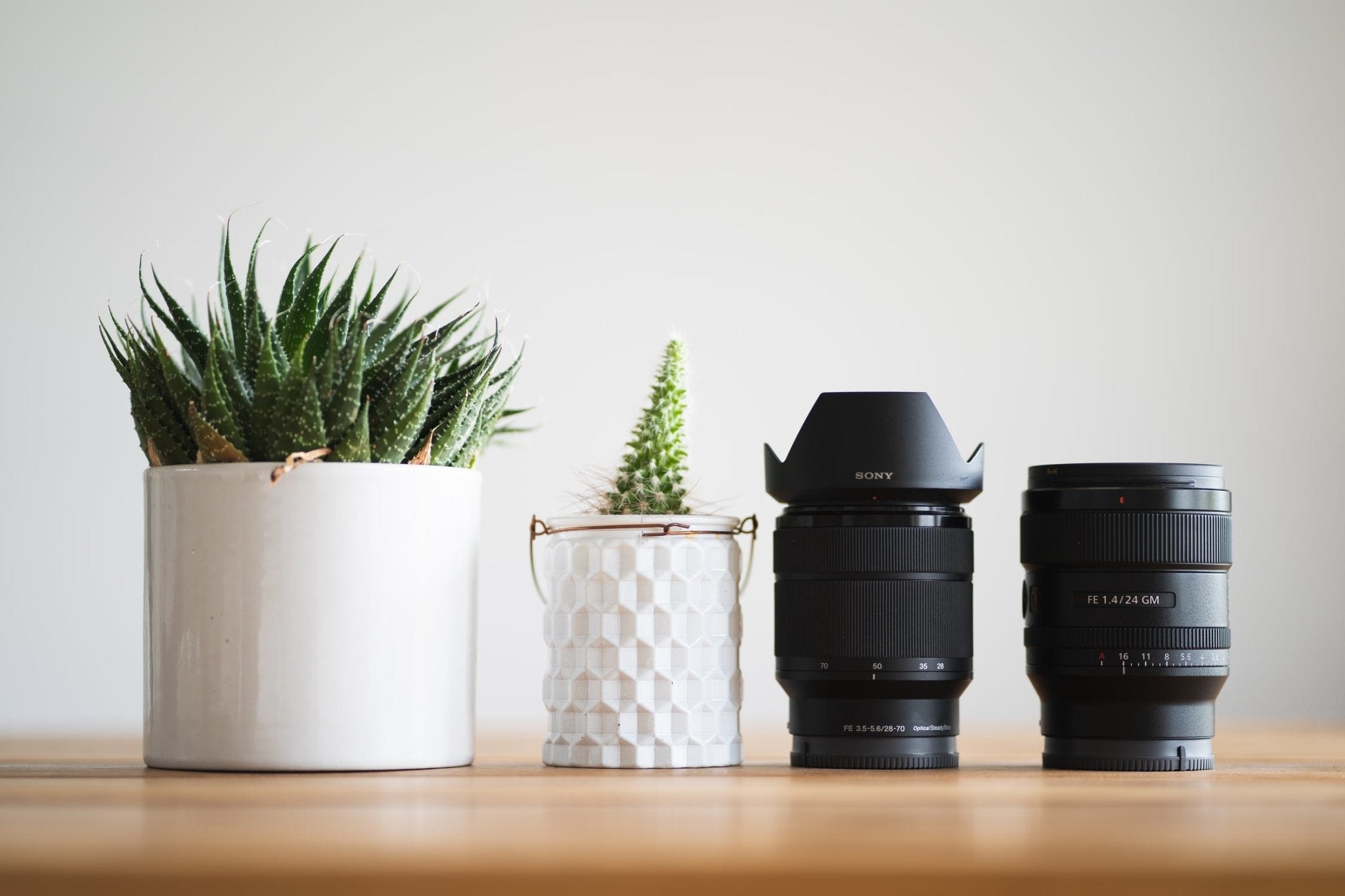 Green plants and two camera lenses on a wooden surface