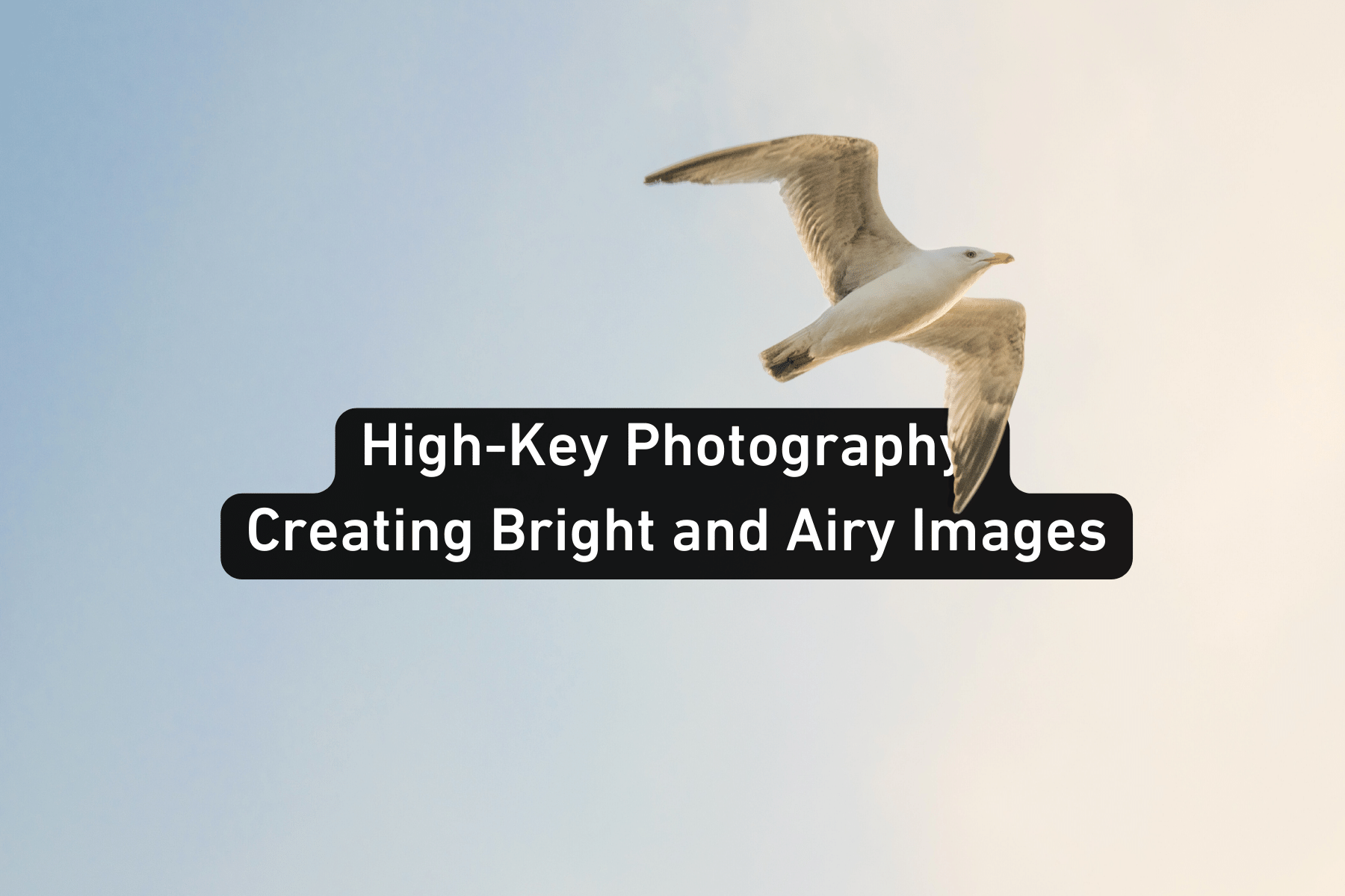 High-Key Photography, Creating Bright and Airy Images
