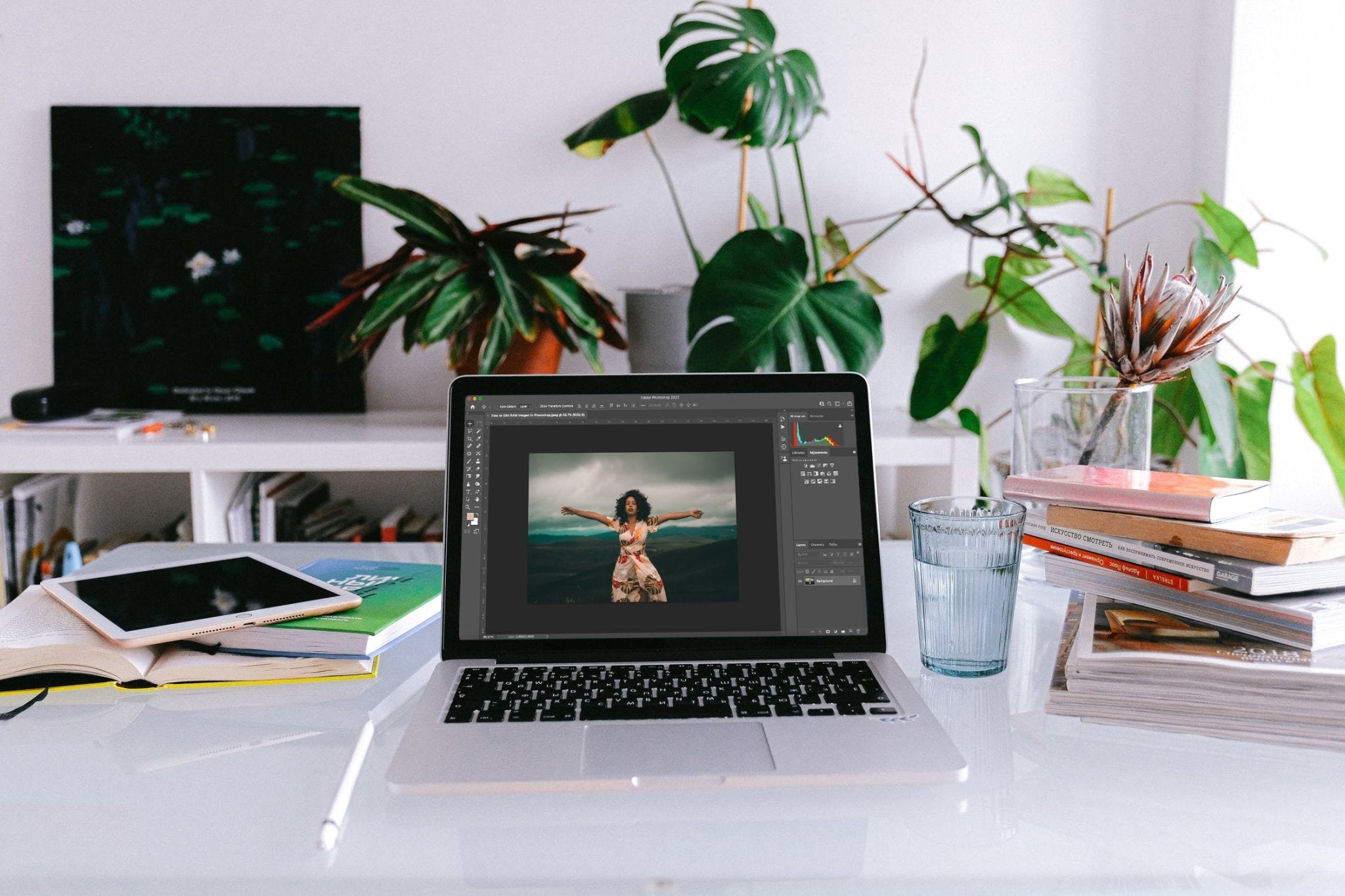 Laptop displaying an open photo editing software on a desk with plants and books.