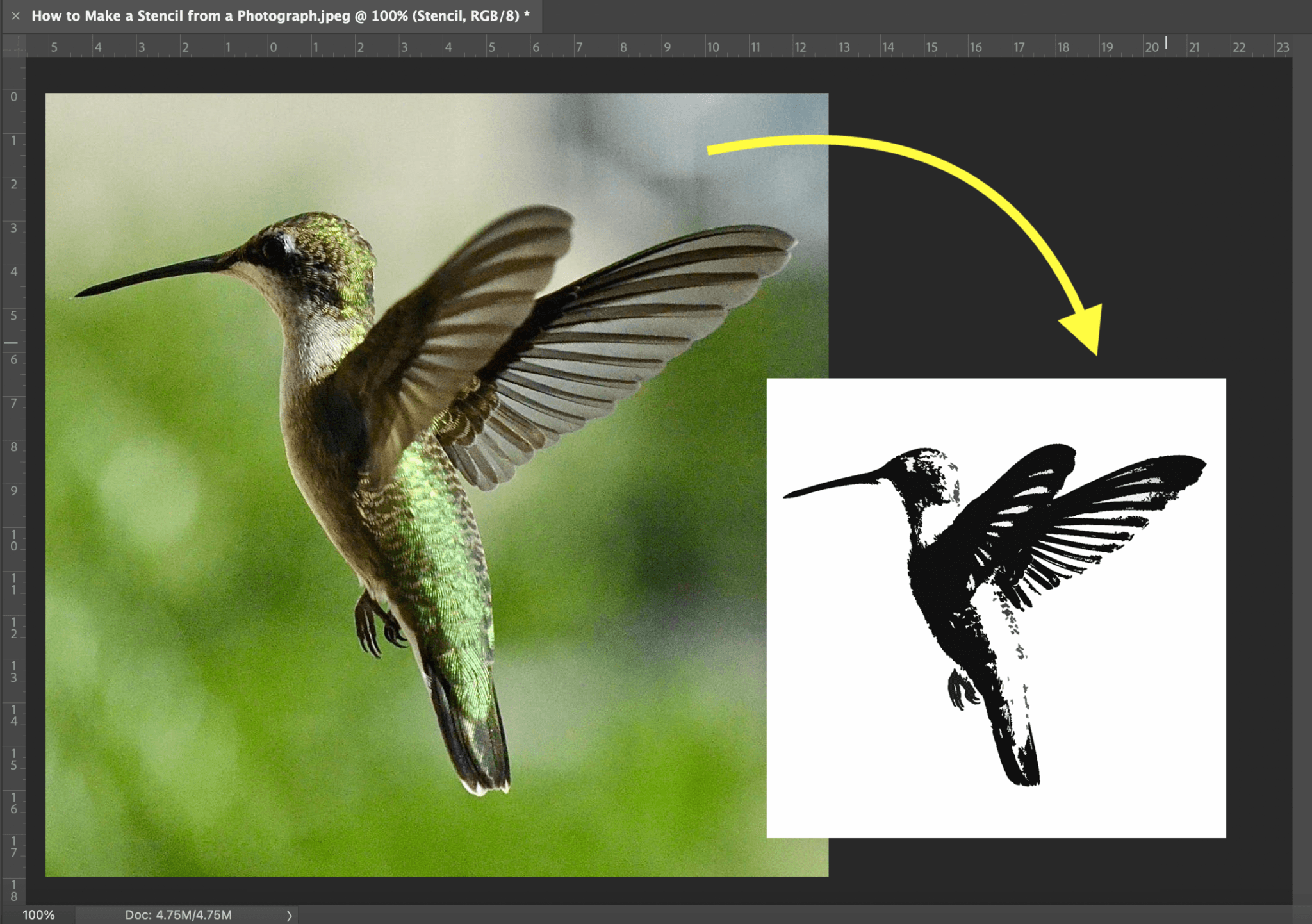 How to Make a Stencil from a Photograph - B&C Camera