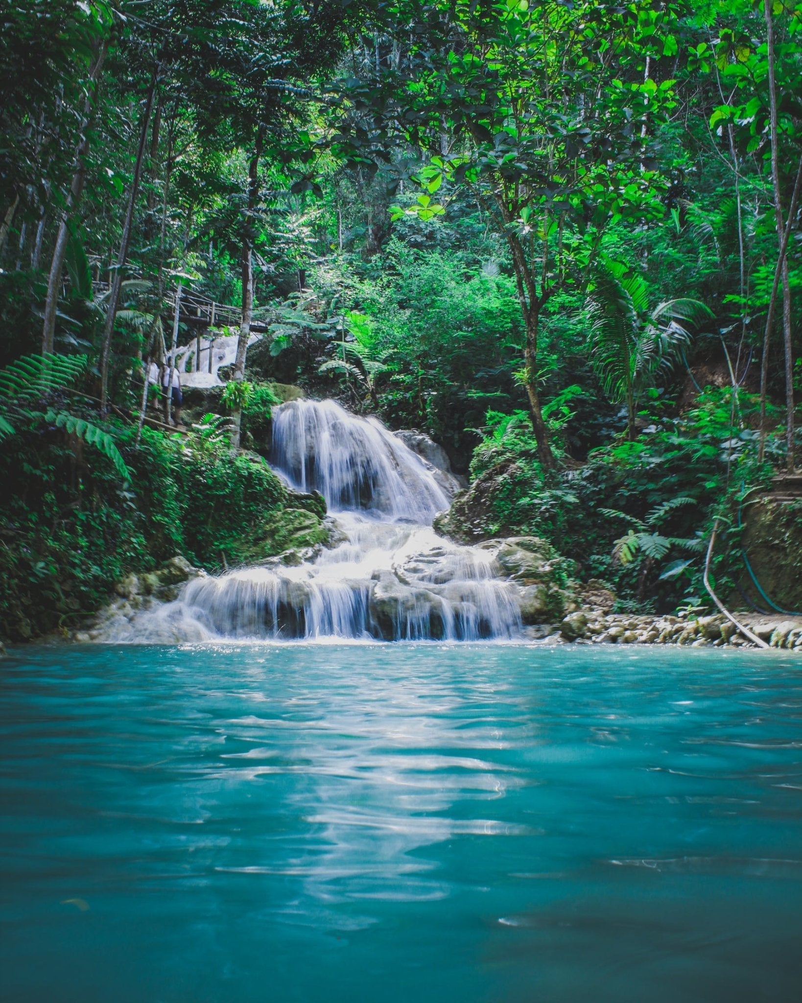 cascading waterfall surrounded by lush green foliage and turquoise water pool