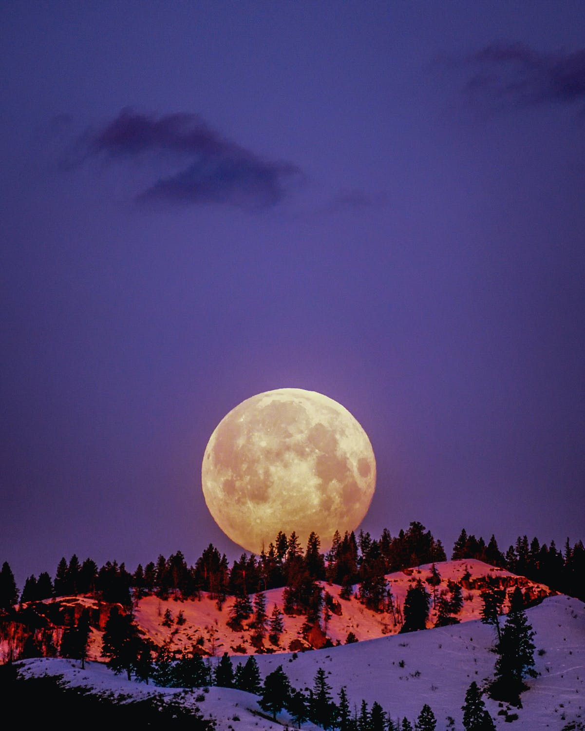Full Moon Photography full-moon-photography