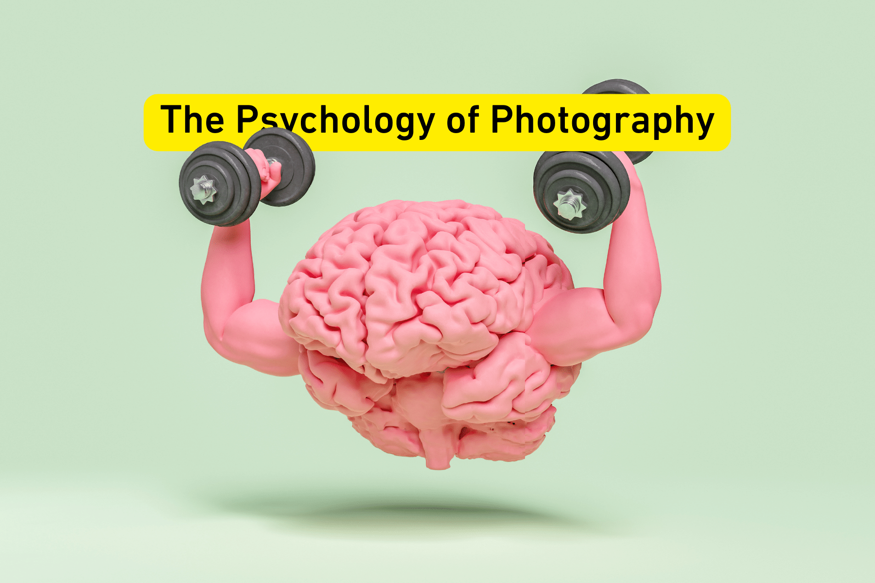 The Psychology of Photography - B&C Camera