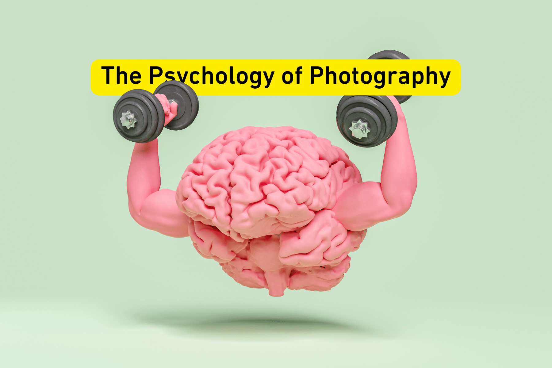 Pink brain lifting dumbbells against a light green background.