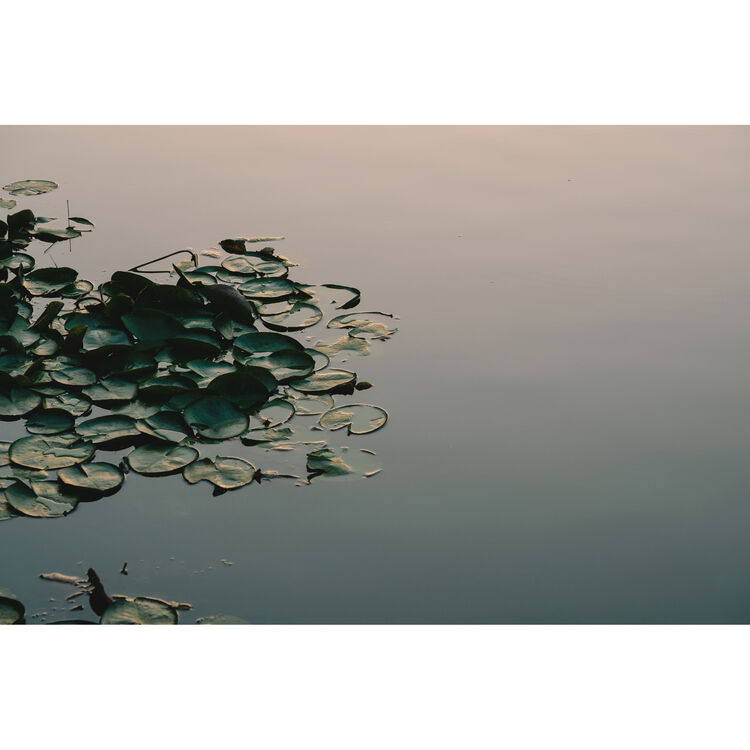 Shop Tamron 35-100mm f/2.8 Di III VXD Lens (Nikon Z) by Tamron at B&C Camera