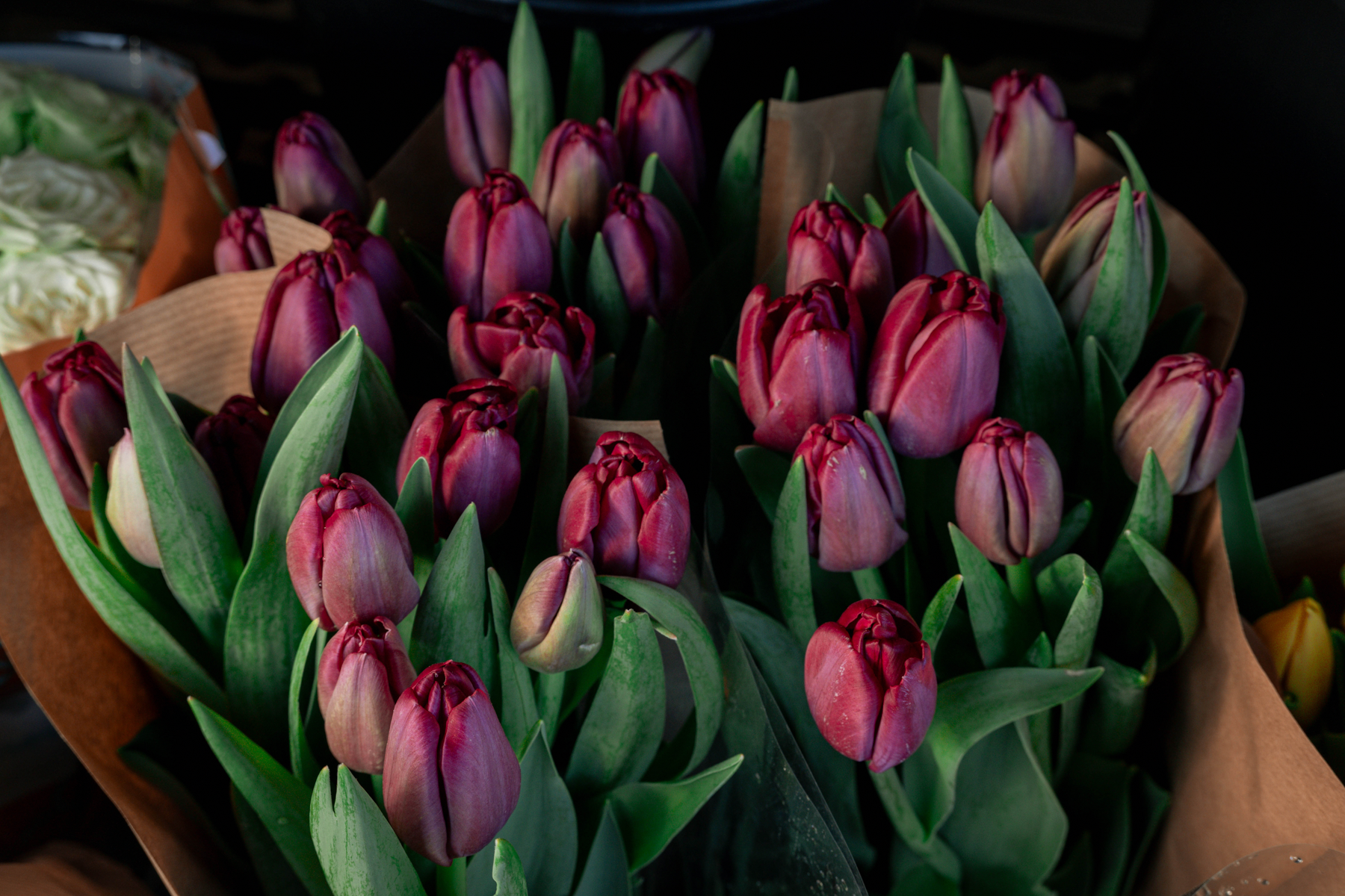 Nikon NIKKOR Z 24-105mm f/4-7.1 Lens