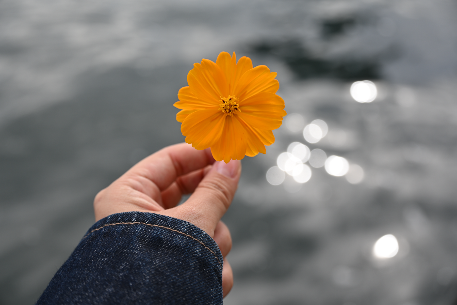 Nikon NIKKOR Z 24-105mm f/4-7.1 Lens