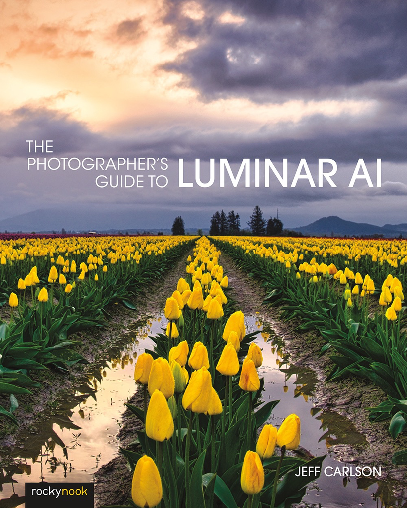 Rocky Nook The Photographers Guide to Luminar AI