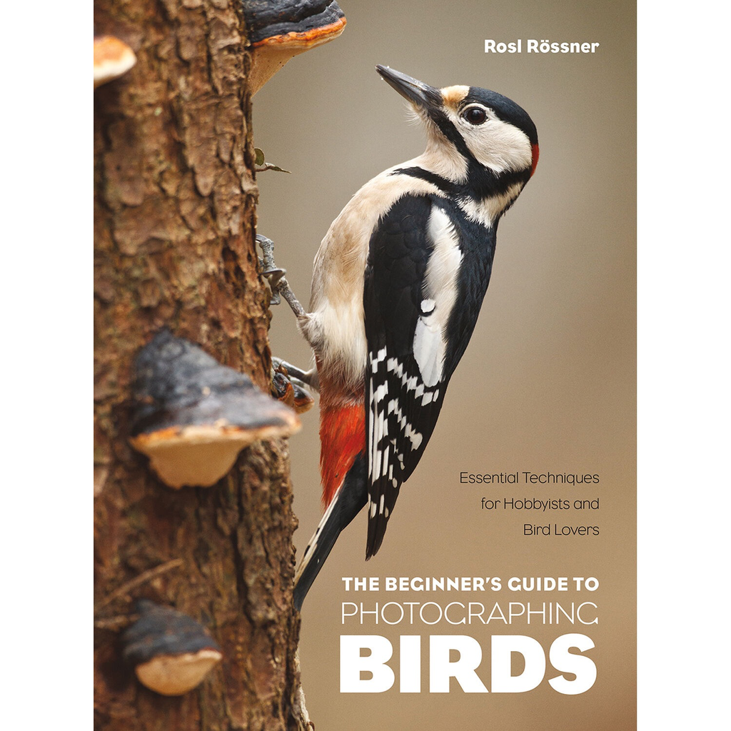 Shop Rocky Nook The Beginners Guide to Photographing Birds by Rocky Nook at B&C Camera