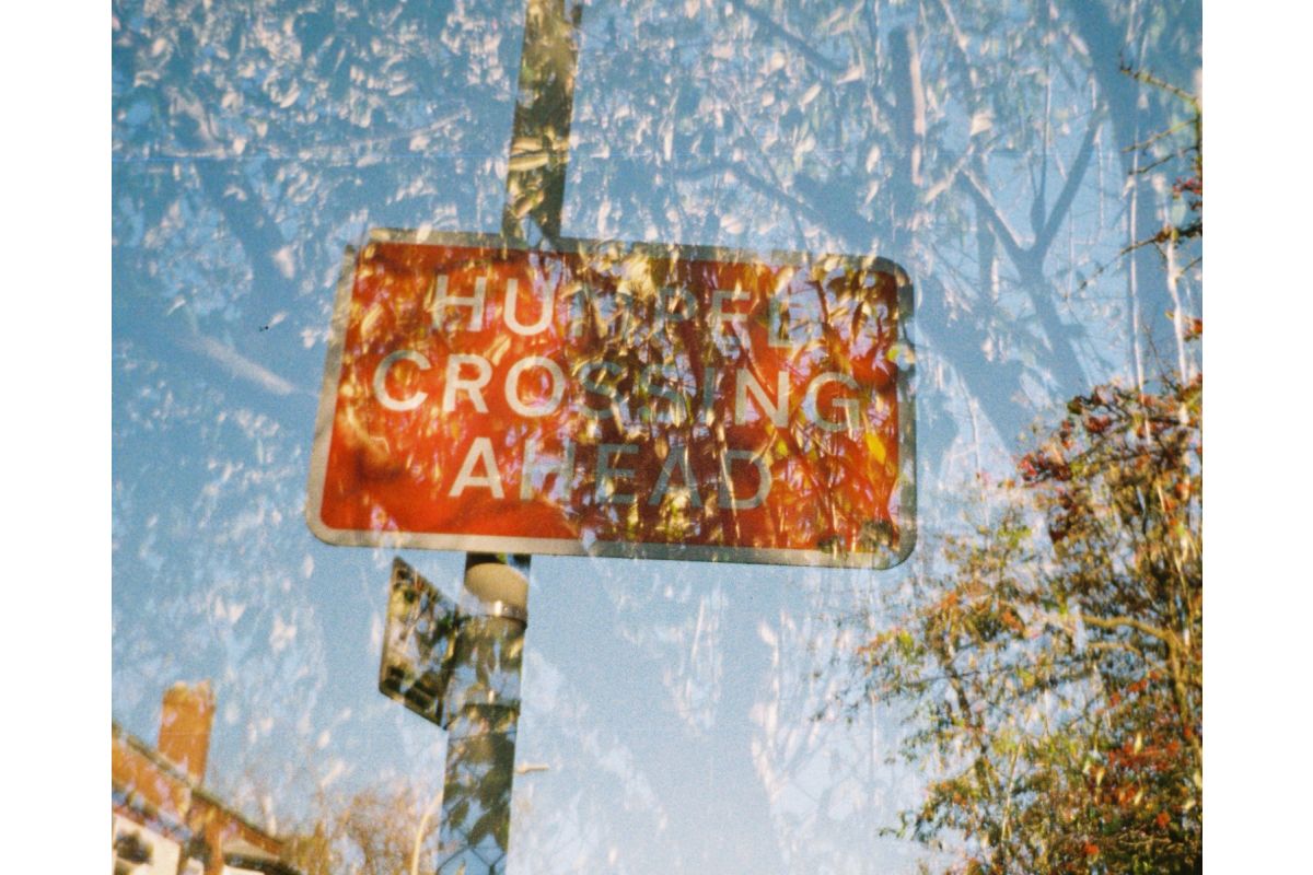 Shop Lomography Lomomatic 110 Camera Golden Gate by lomography at B&C Camera