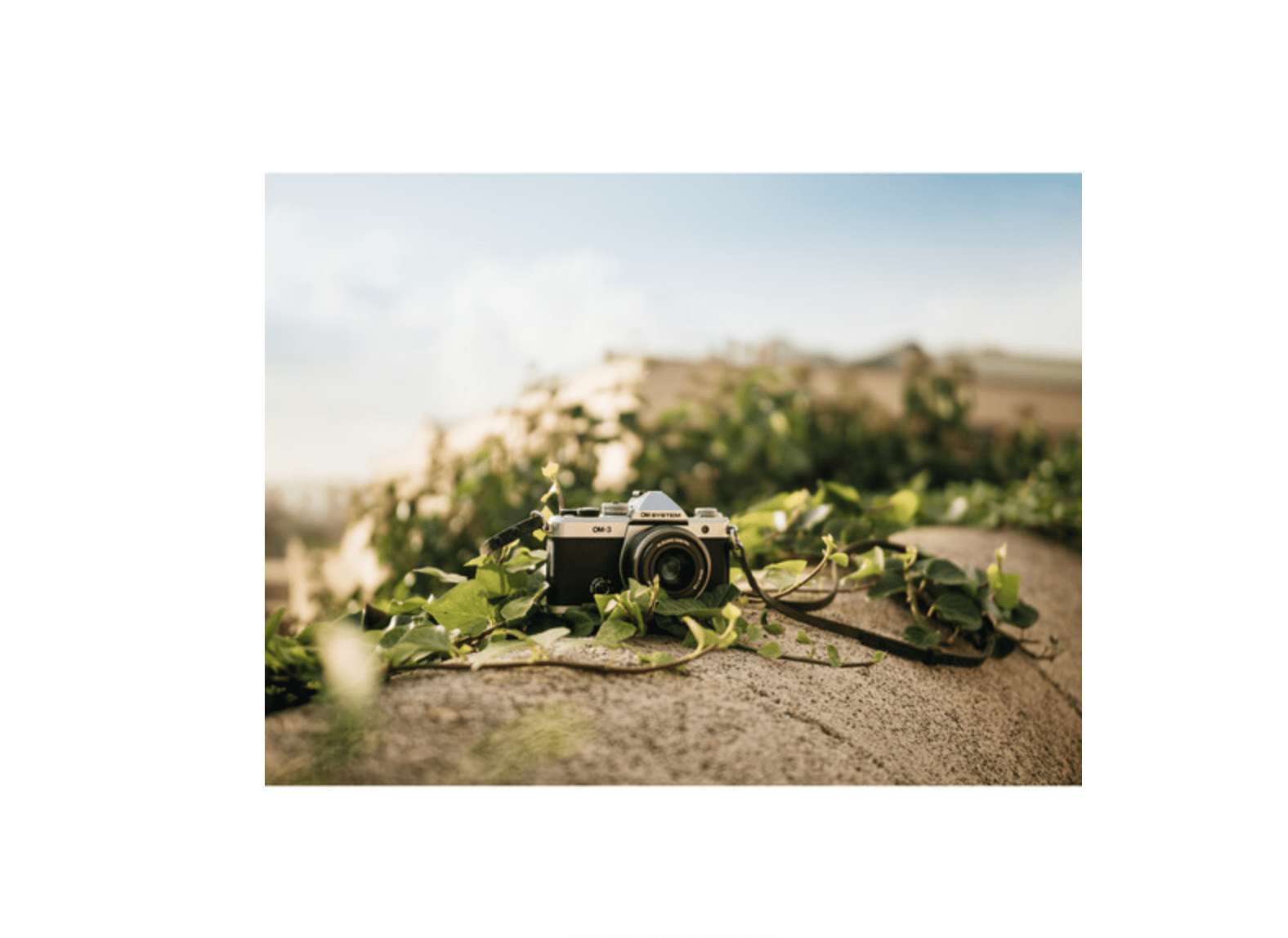 Shop OM System OM-3 Body by OM System at B&C Camera