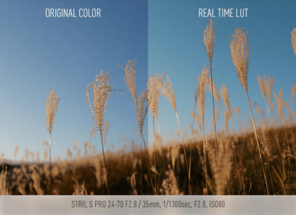 Shop Panasonic LUMIX S1RII Mirrorless Camera by Panasonic at B&C Camera