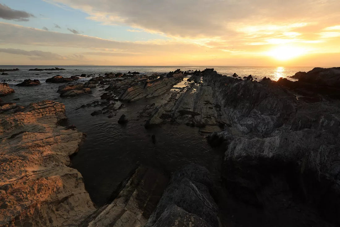 Canon RF 14mm F1.4 L VCM Lens