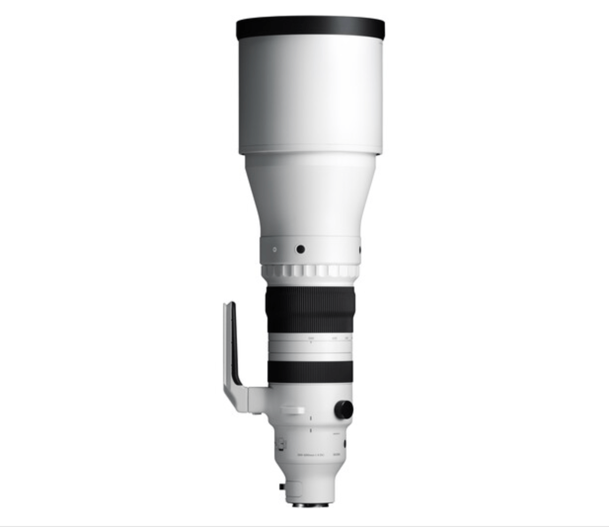 Shop Sigma 300-600mm f/4 DG OS Sports Lens (Sony E) by Sigma at B&C Camera