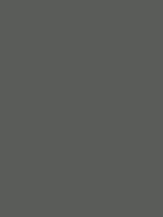Shop Savage Widetone Seamless Background Paper (Thunder Gray, 53" x 36) by Savage at B&C Camera