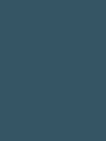 Shop Savage Widetone Seamless Background Paper (Ultramarine, 107" x 36) by Savage at B&C Camera