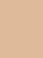 Shop Savage Widetone Seamless Background Paper (Beige, 107" x 36) by Savage at B&C Camera