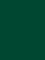 Savage Widetone Seamless Background Paper (Evergreen, 53" x 36)