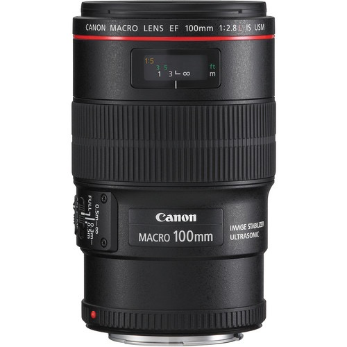 Canon EF 100mm f/2.8L Macro IS USM