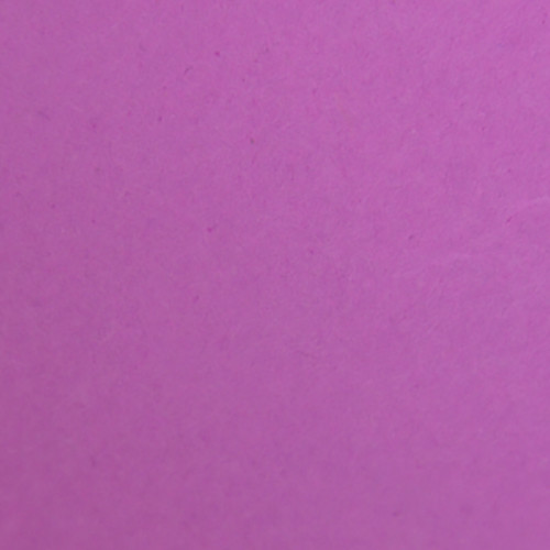 Savage Widetone Seamless Background Paper (Plum, 53" x 36)