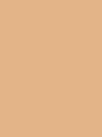 Shop Savage Widetone Seamless Background Paper (Almond, 53" x 36) by Savage at B&C Camera