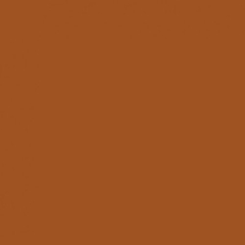 Shop Savage Widetone Seamless Background Paper (Sienna 53" x 36) by Savage at B&C Camera