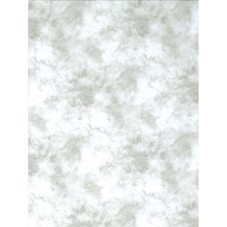 Shop Promaster Cloud Dyed Backdrop 6 x 10 - Light Gray by Promaster at B&C Camera
