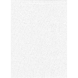 Promaster Solid Backdrop 6 x 10 - White