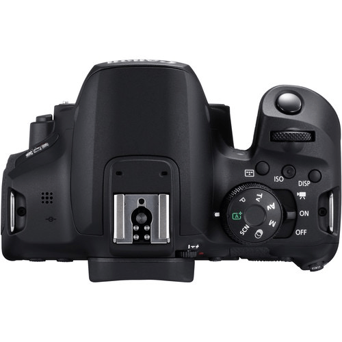Canon EOS Rebel T8i Body - B&C Camera