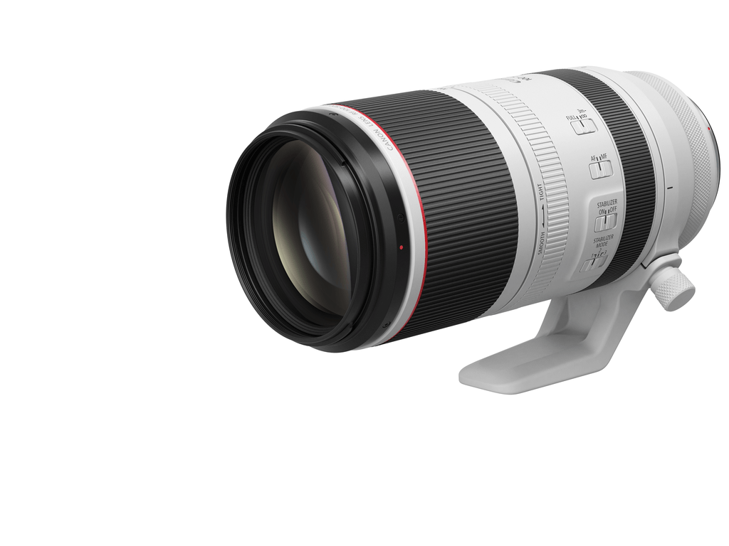 CANON RF100-500mm F4.5-7.1 L IS USM