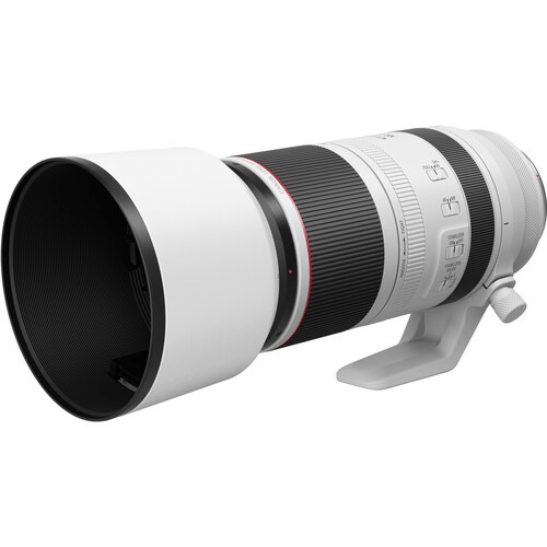 Shop Canon RF 100-500mm F4.5-7.1 L IS USM by Canon at B&C Camera