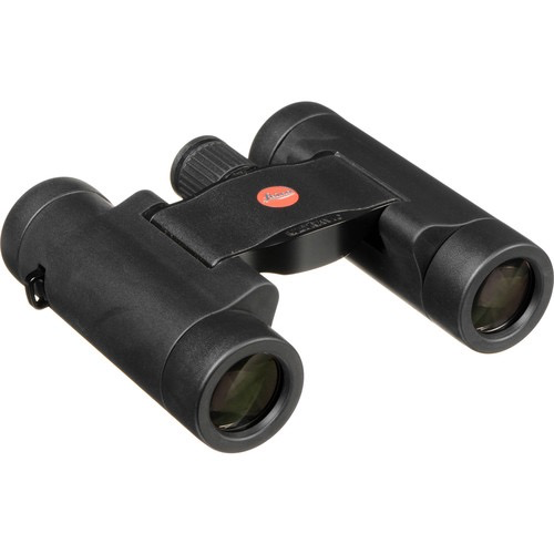 Leica 8x20 Ultravid BR Binoculars (Black Rubber)