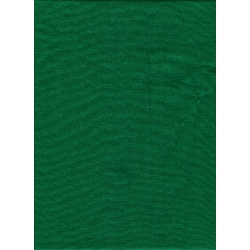Shop Promaster Solid Backdrop 6 x 10 - Chromakey Green by Promaster at B&C Camera
