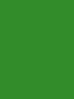 Shop Savage Widetone Seamless Background Paper (Tech Green 86”X12yds) by Savage at B&C Camera