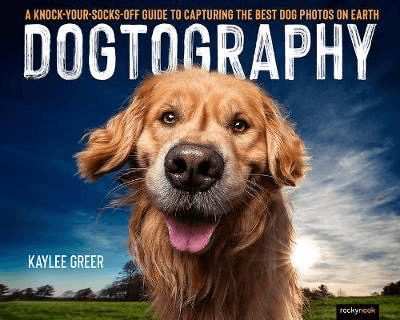 Shop Dogtography by Kaylee Greer by Rockynock at B&C Camera