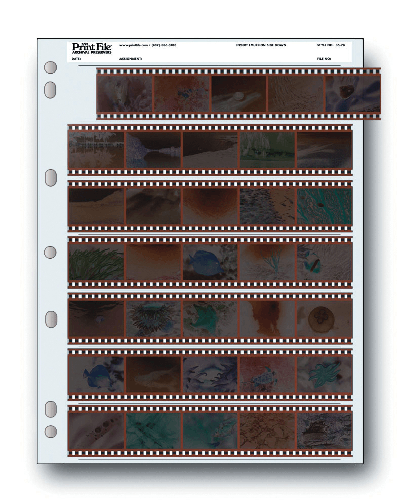 Shop Dotline Print File Archival Preservers 35mm/5 Frames/7 Strips - 25 by Dotline at B&C Camera