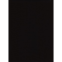 Shop Promaster Solid Backdrop 10x20 - Black by Promaster at B&C Camera