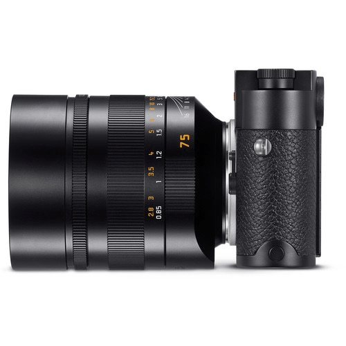 Shop Leica NOCTILUX-M 75 MM F/1.25 ASPH by Leica at B&C Camera