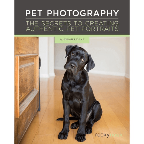 Shop Norah Levine Pet Photography: The Secrets to Creating Authentic Pet Portraits by Rockynock at B&C Camera