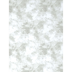 Shop Promaster Cloud Dyed Backdrop 6 x 10 - Light Gray by Promaster at B&C Camera
