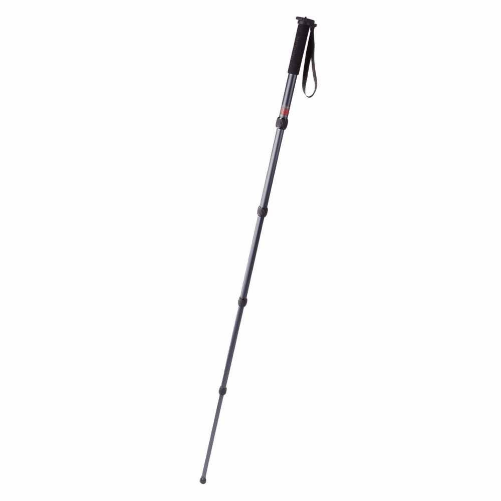 Shop Promaster MP528 Professional Monopod by Promaster at B&C Camera