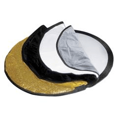 Shop Promaster ReflectaDisc 5-in-1 Reflector + - 22” by Promaster at B&C Camera