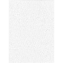 Shop Promaster Solid Backdrop 10x12 - White by Promaster at B&C Camera