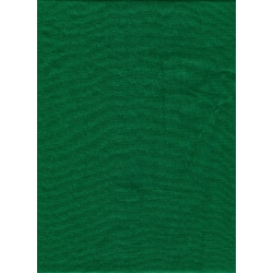 Shop Promaster Solid Backdrop 6 x 10 - Chromakey Green by Promaster at B&C Camera