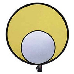 Shop Promaster SystemPRO ReflectaDisc - Reflector 12” (Silver/Gold) by Promaster at B&C Camera