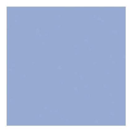Shop Rosco Cinegel #3204 Filter 20” x 24" Sheet (1/2 Blue) by Visual Departures at B&C Camera