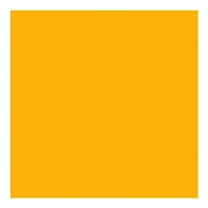 Shop Rosco Roscolux #312 Filter 20” x 24" Sheet (Canary Yellow) by Visual Departures at B&C Camera