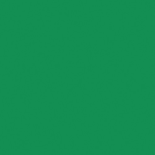 Shop Rosco Roscolux #89 Filter 20” x 24" Sheet (Moss Green) by Visual Departures at B&C Camera