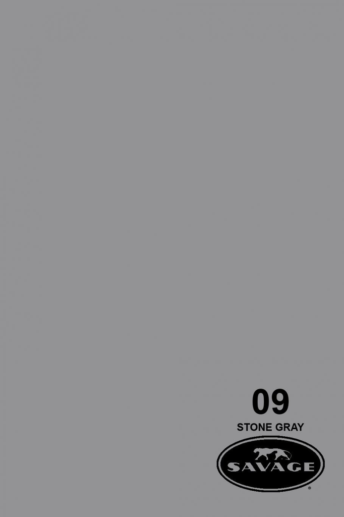 Shop Savage Widetone Seamless Background Paper (Stone Gray, 86” x 12yd) by Savage at B&C Camera