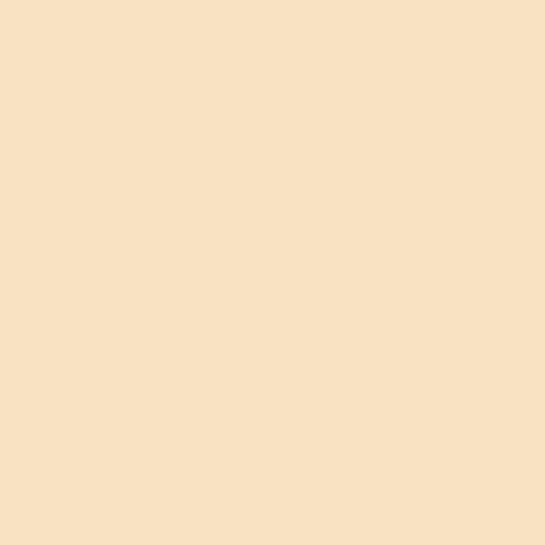 Shop Savage Widetone Seamless Background Paper (Egg Nog, 53" x 36) by Savage at B&C Camera